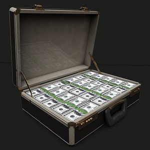 Malette suitcase filled with money