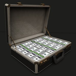 Malette suitcase filled with money