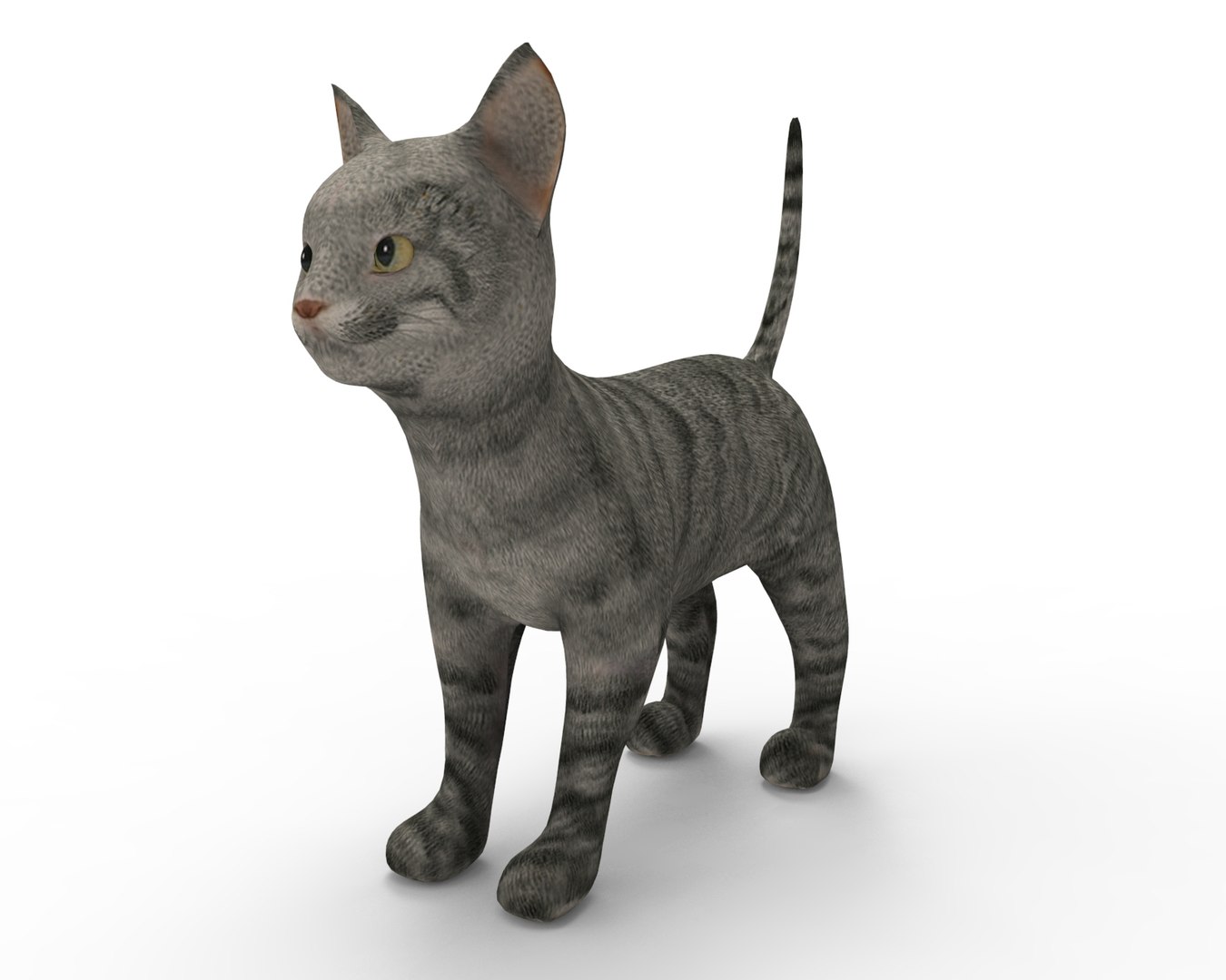 3D Model Cute Cat - TurboSquid 1193993