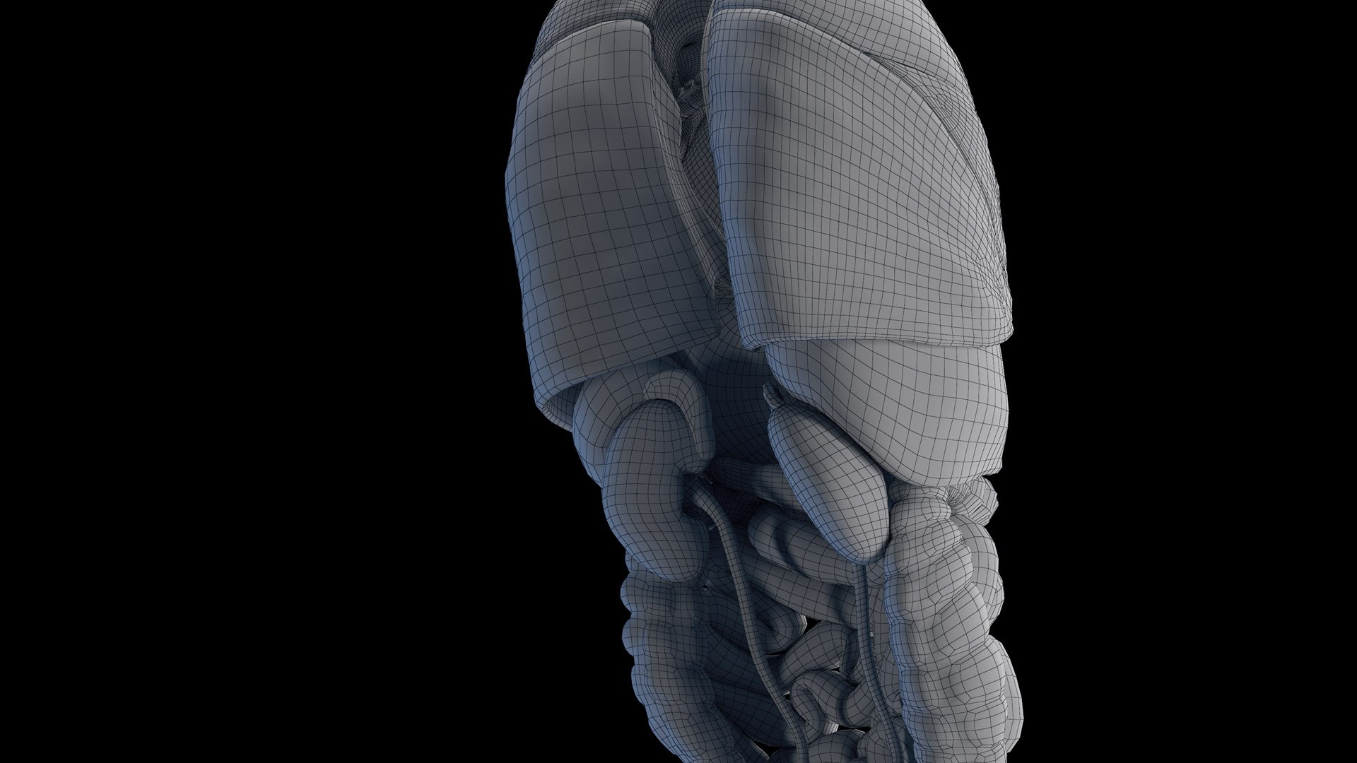 Human Male Organs Static 3D model https://p.turbosquid.com/ts-thumb/U0/FkShZE/bE/male_organs_wire0006/jpg/1680162287/1920x1080/fit_q87/b239c37dcf1c3137bffa7d8dc2d92a168f4c89ee/male_organs_wire0006.jpg