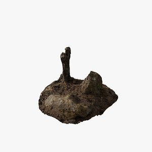 3D Anydrafts Stump 12