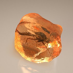 3D Amber Specimens