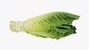 Romaine Lettuce Heart