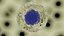 Cell