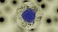 Cell