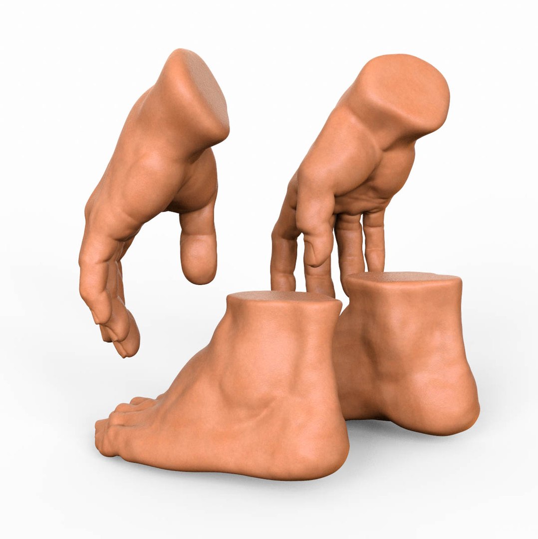 3D Hand Foot Combo Model - TurboSquid 1378597
