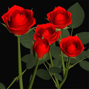 3dsmax red rose