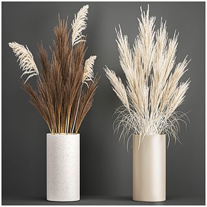 Decorative Bouquet of dried pampas grass 194 model