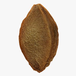 3dsmax apricot kernel