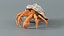 Crostacei marini in fascio