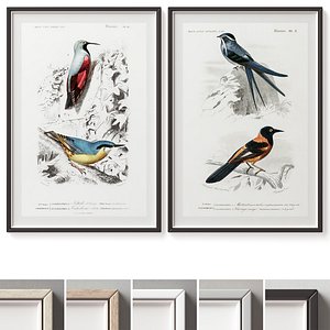 Picture Frames Set-552