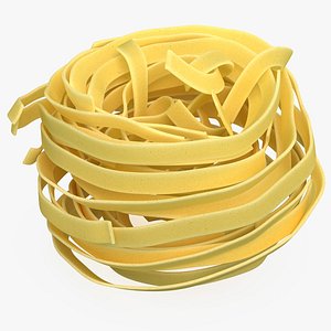 3D uncooked pasta nest model