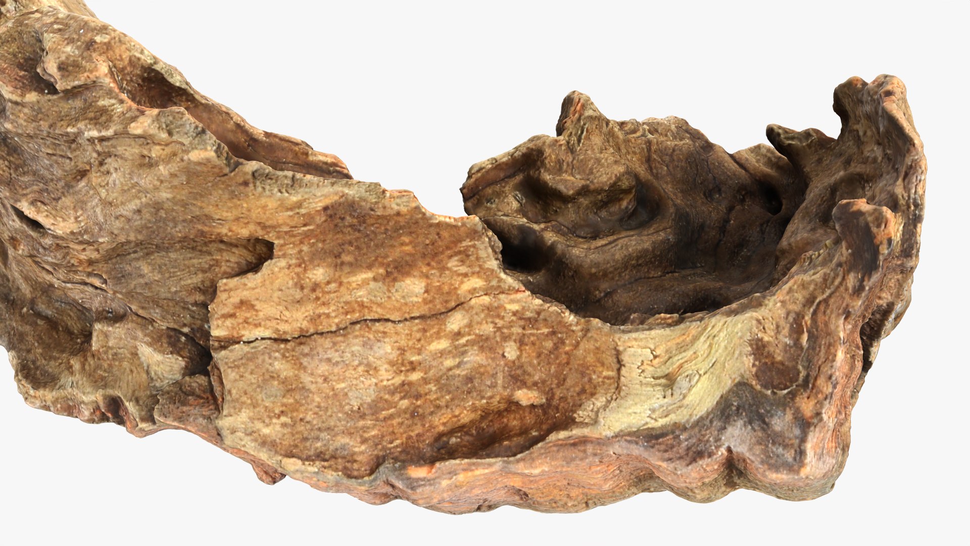 Tree Trunk Piece 12 - Raw Scan 3D https://p.turbosquid.com/ts-thumb/U0/tCP86G/Gw/treetrunkpc12_0012/png/1767025812/1920x1080/fit_q87/efabfdab6dd4fd85d7af3b4896f614fc84599884/treetrunkpc12_0012.jpg