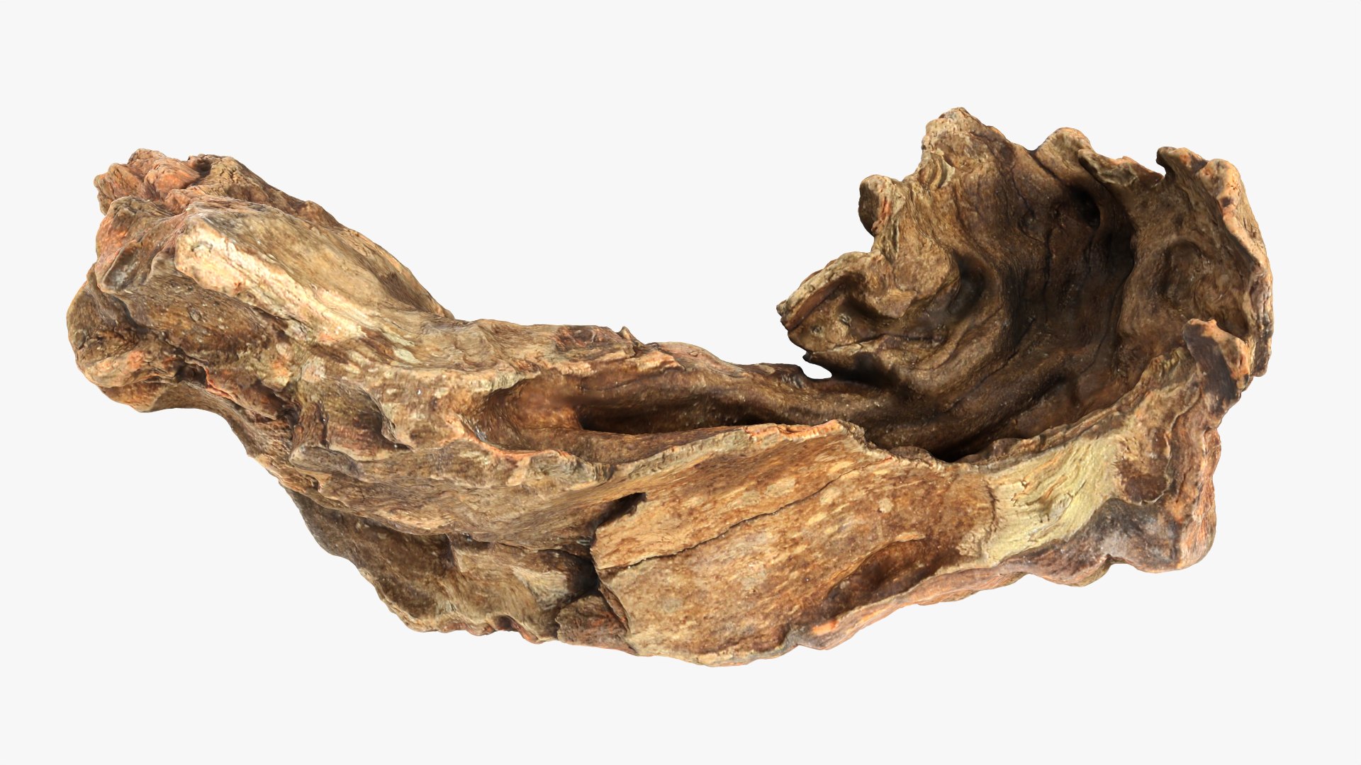 Tree Trunk Piece 12 - Raw Scan 3D https://p.turbosquid.com/ts-thumb/U0/tCP86G/HD/treetrunkpc12_0003/png/1767025800/1920x1080/fit_q87/bd0e980034f2ec7d03d8f48447abc47d7b13e74d/treetrunkpc12_0003.jpg
