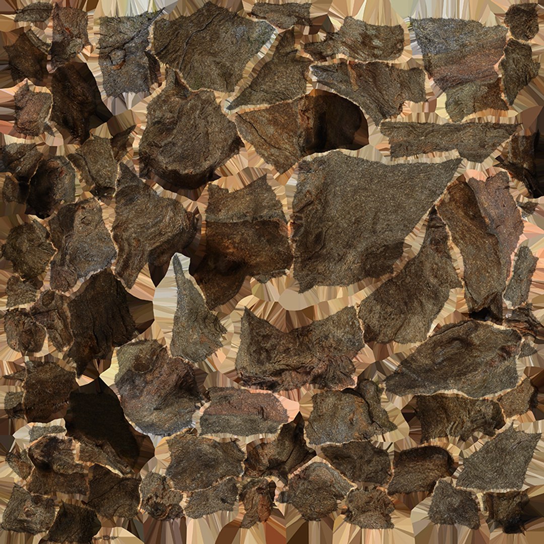 Tree Trunk Piece 12 - Raw Scan 3D https://p.turbosquid.com/ts-thumb/U0/tCP86G/Lz/treetrunkpc12_e0004/png/1767025814/1920x1080/fit_q87/8aebdc966f051f35a0846f4adefa6233bec91178/treetrunkpc12_e0004.jpg