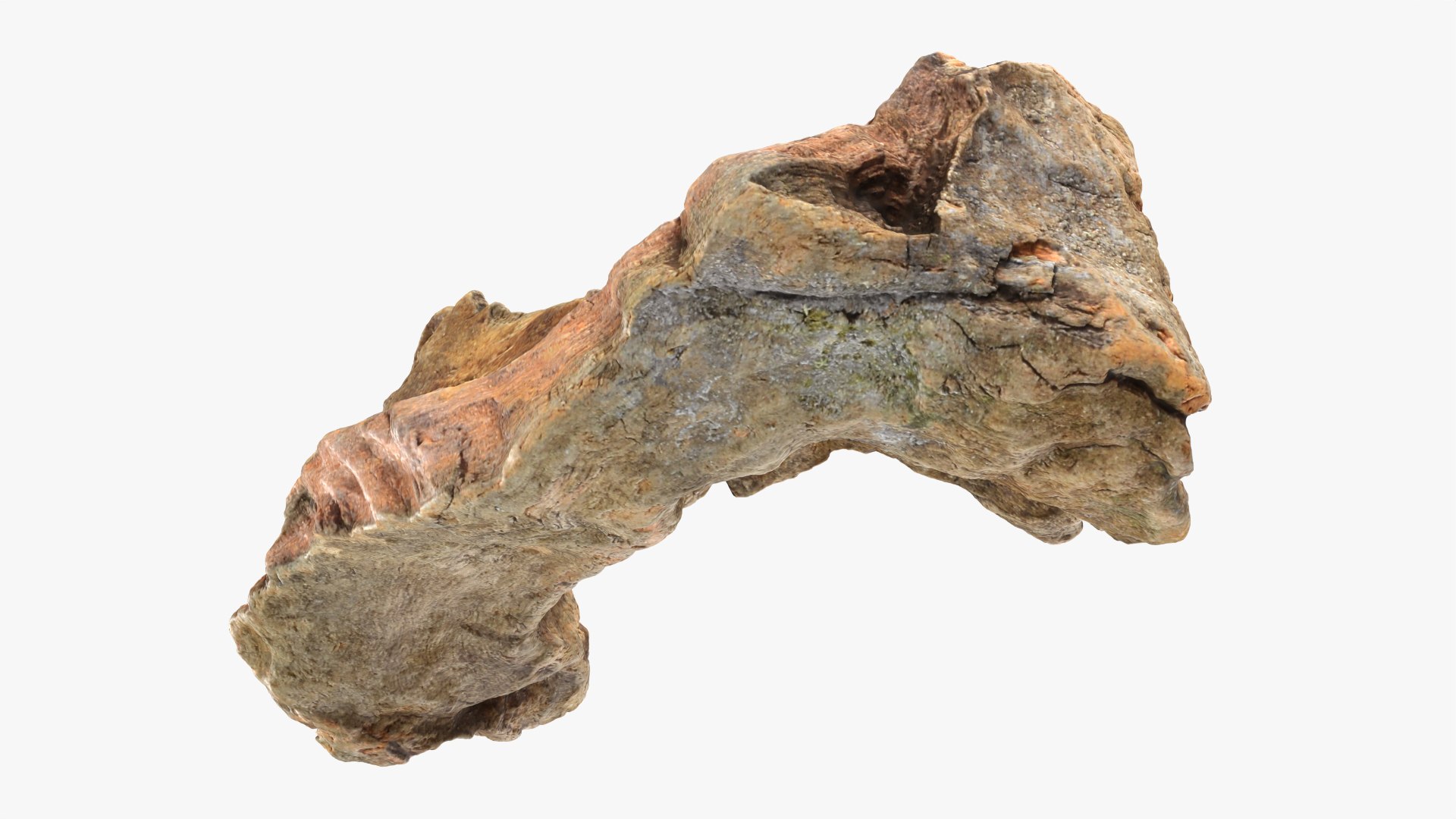 Tree Trunk Piece 12 - Raw Scan 3D https://p.turbosquid.com/ts-thumb/U0/tCP86G/Rr/treetrunkpc12_0008/png/1767025787/1920x1080/fit_q87/4a89125e00e6a2d68805b345f21c43d7f9e45431/treetrunkpc12_0008.jpg