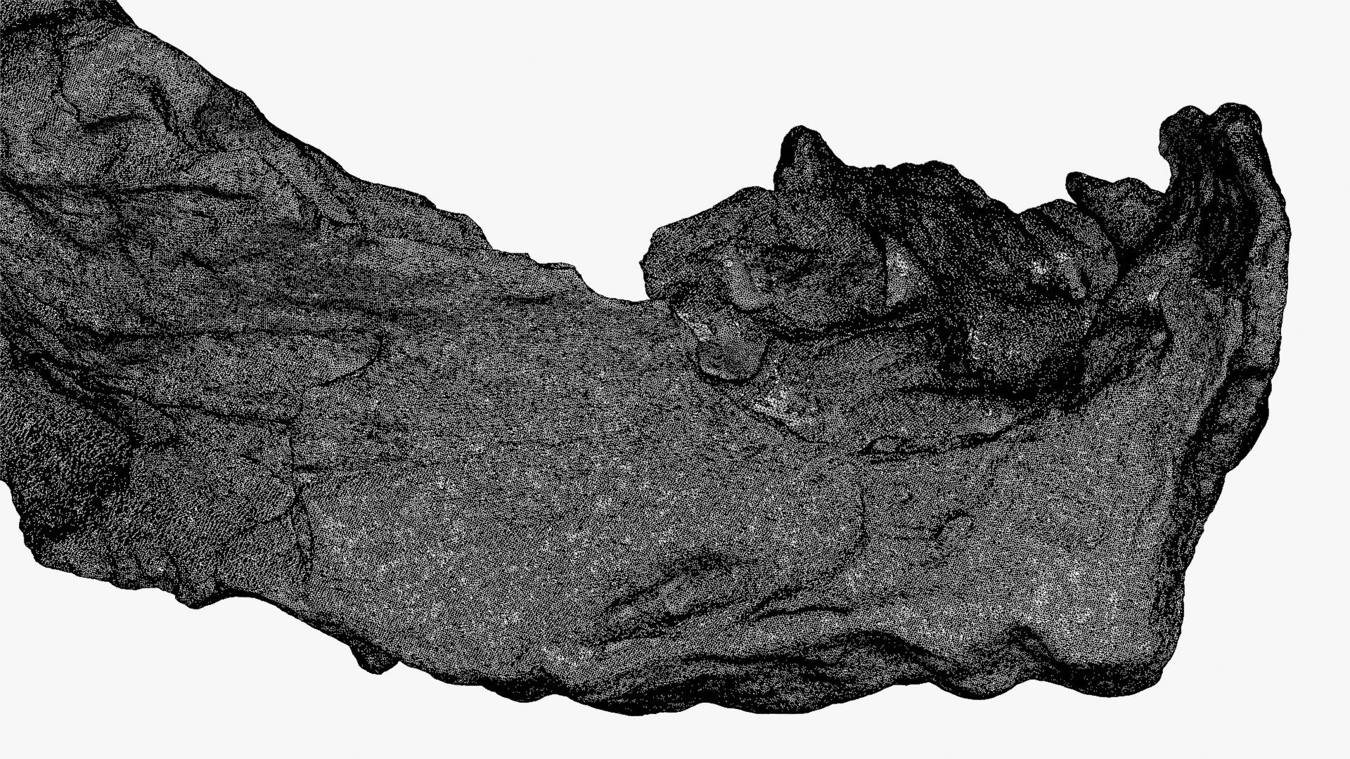 Tree Trunk Piece 12 - Raw Scan 3D https://p.turbosquid.com/ts-thumb/U0/tCP86G/ap/treetrunkpc12_d000/png/1767025814/1920x1080/fit_q87/3ab2db3f6dc01098b58f6306a31c84374882b386/treetrunkpc12_d000.jpg