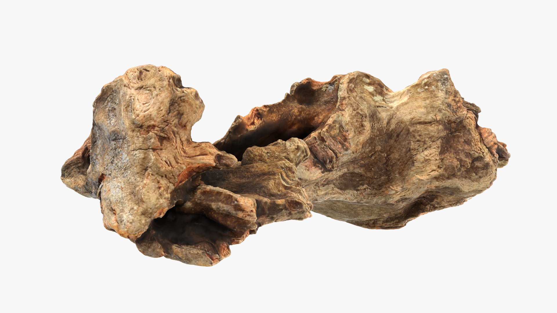 Tree Trunk Piece 12 - Raw Scan 3D https://p.turbosquid.com/ts-thumb/U0/tCP86G/ek/treetrunkpc12_0006/png/1767025781/1920x1080/fit_q87/2fa4f07b16509e3d76bf0450c1984b1ede66b751/treetrunkpc12_0006.jpg