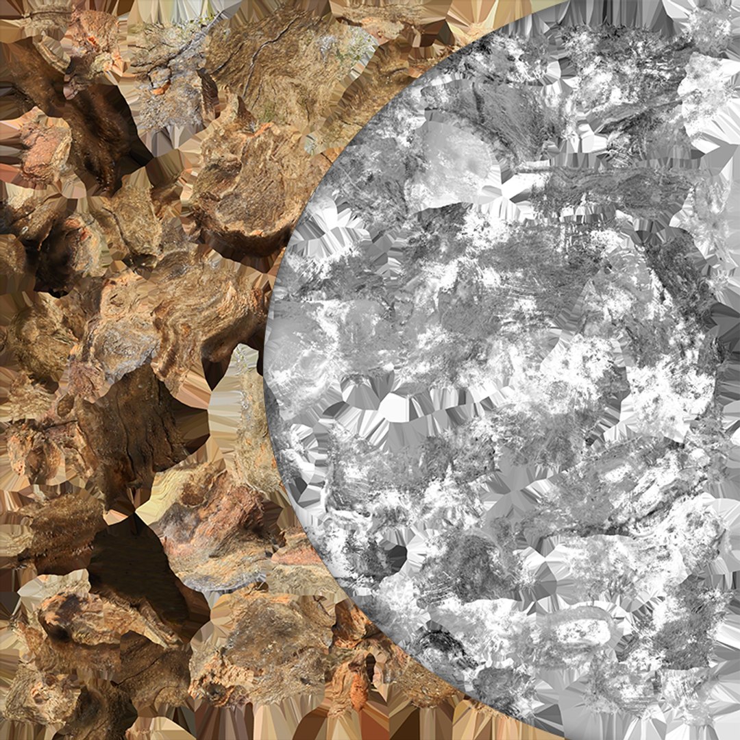 Tree Trunk Piece 12 - Raw Scan 3D https://p.turbosquid.com/ts-thumb/U0/tCP86G/fs/treetrunkpc12_e0005/png/1767025813/1920x1080/fit_q87/ff6127673230faaac2717eaed23ee0a4d480229d/treetrunkpc12_e0005.jpg