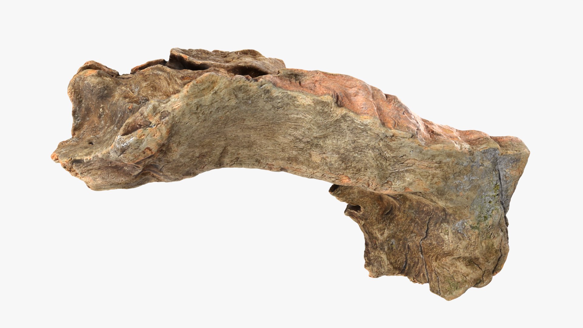 Tree Trunk Piece 12 - Raw Scan 3D https://p.turbosquid.com/ts-thumb/U0/tCP86G/us/treetrunkpc12_0002/png/1767025768/1920x1080/fit_q87/f126edb8ab83228dff9bfa9c34f910cd24e54ed3/treetrunkpc12_0002.jpg