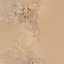 Namibian Termite Nest Mound Pack 3