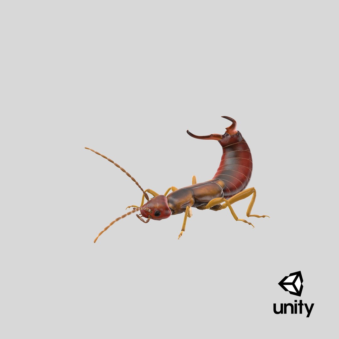3D earwig attacking https://p.turbosquid.com/ts-thumb/U1/8UoK6k/7z90Ll64/stemcell_unity_render/png/1550252422/1920x1080/fit_q87/227b8d51641b889f4ff80d3e6c604117b3ce8e0d/stemcell_unity_render.jpg