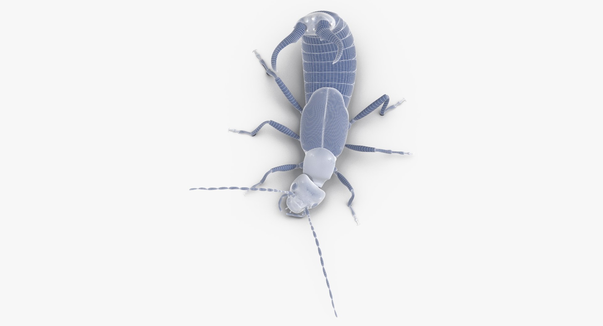 3D earwig attacking https://p.turbosquid.com/ts-thumb/U1/8UoK6k/TsMJZlwp/earwig_attacking_wireframe_01_0004/jpg/1549460281/1920x1080/fit_q87/559a4b2e3060c6ae473839fdd03abedb257453e4/earwig_attacking_wireframe_01_0004.jpg