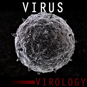 Virus Free