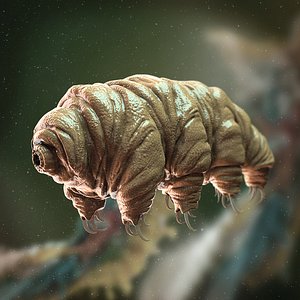 Tardigrade ultra realistic