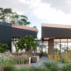 3D Collection 36 - North American Home - Garden Plants