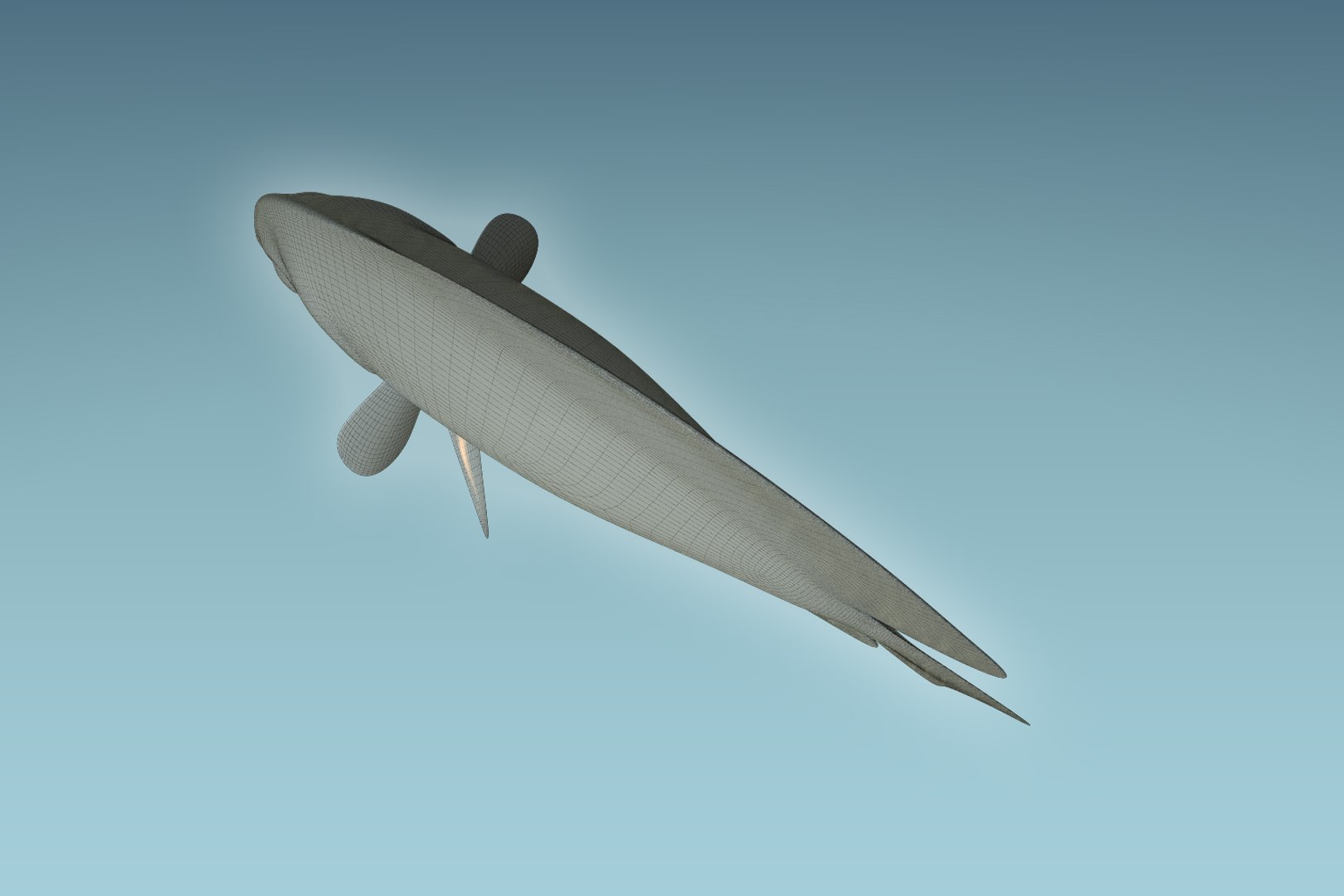 discus fish 3D https://p.turbosquid.com/ts-thumb/U1/L5i3XD/DspsjRSt/09/jpg/1504674970/1920x1080/fit_q87/f7fe1bd62855dfe0e8a516a4aa05660f3343f626/09.jpg