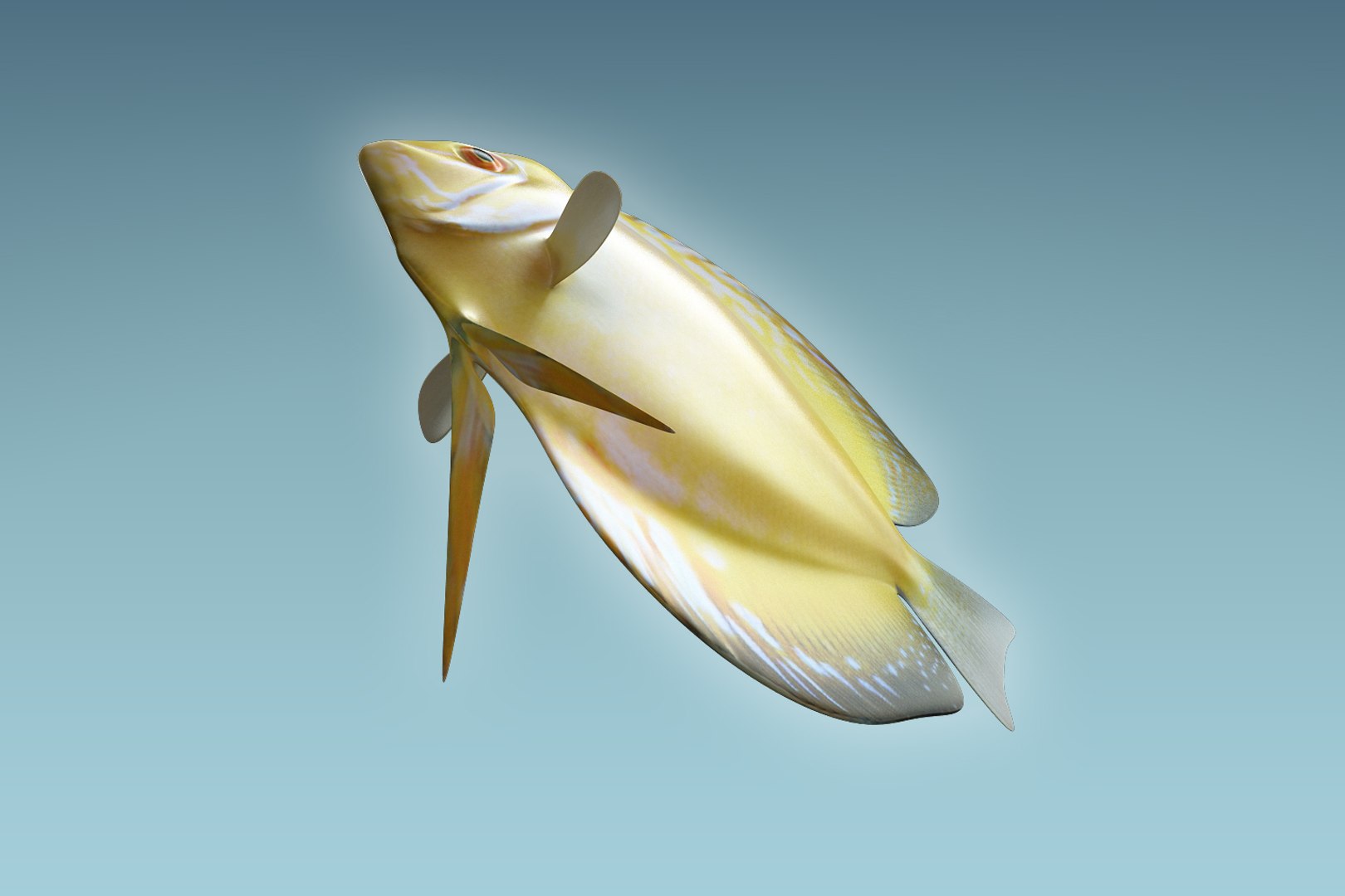 discus fish 3D https://p.turbosquid.com/ts-thumb/U1/L5i3XD/gMtXcWIF/07/jpg/1504674916/1920x1080/fit_q87/4ff604a221178ebfe6c6abef8c7abf3a131f6c01/07.jpg