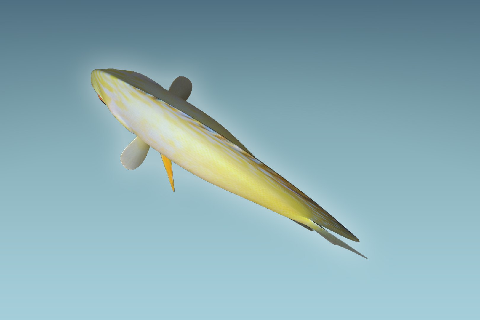 discus fish 3D https://p.turbosquid.com/ts-thumb/U1/L5i3XD/jzJaBRLp/06/jpg/1504674900/1920x1080/fit_q87/c49c0796981d130a6f97921819f29617b1cd2622/06.jpg