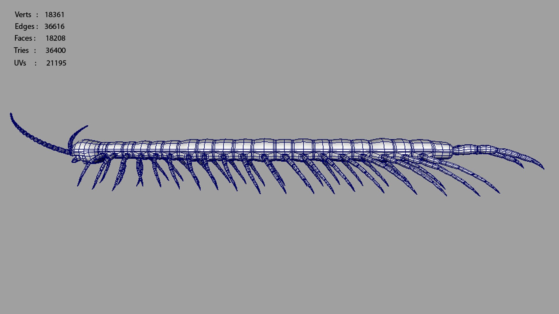Centipede E 3d Model