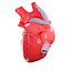 Corazón humano