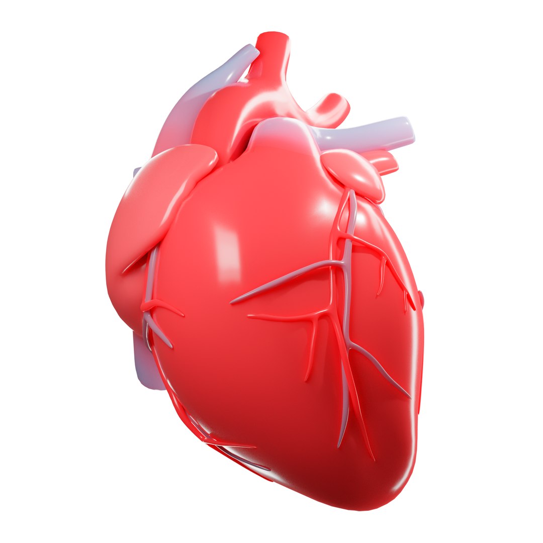 Modeled Human Heart 3D - TurboSquid 1575673