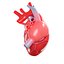 Corazón humano