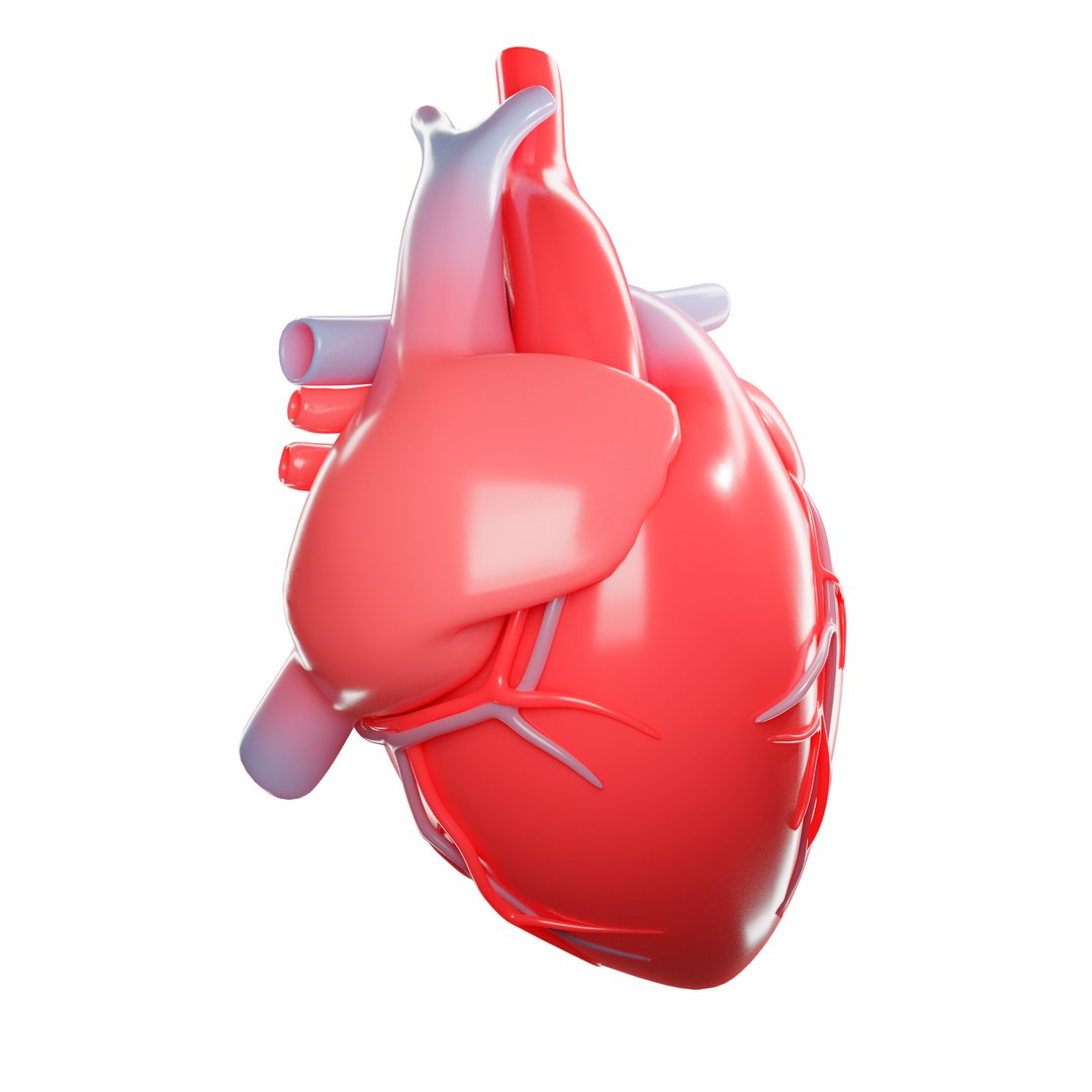 modeled human heart 3D https://p.turbosquid.com/ts-thumb/U1/NKYts5/fHUtFhW2/7/png/1591987909/1920x1080/fit_q87/8aa8076d245e4e60fa85573a0ef5ca7739645194/7.jpg
