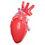 Corazón humano