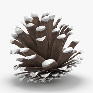 Frosted Pine Cones - 05