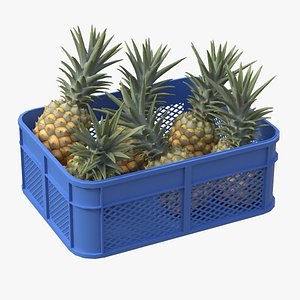 Pineapple Plastic Crate 3D