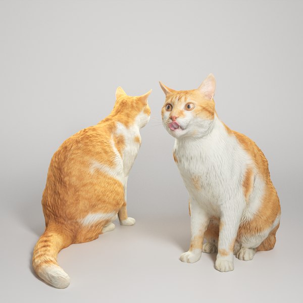 3D Red cat 21 model