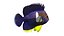 Centropyge Keyhole Angelfish