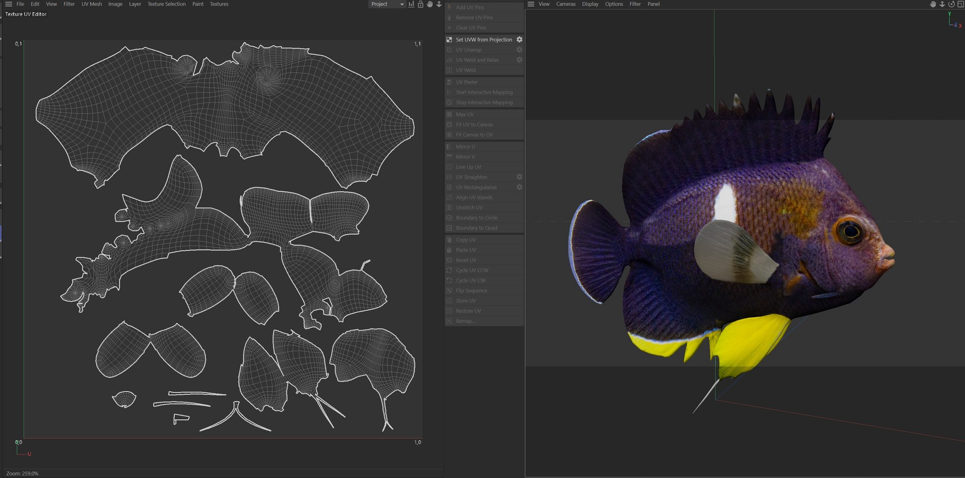 Centropyge Keyhole Angelfish 3D https://p.turbosquid.com/ts-thumb/U1/cy2SpK/ph/uv/jpg/1774416425/1920x1080/fit_q87/09e11d12ec0fac3a45ede890650dfc2f2abb0acc/uv.jpg