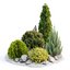Rockery Alpine Hill V1