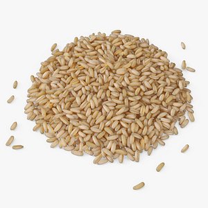 Whole Oat Groats