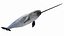 Narwhal Static 3D