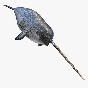 Narwhal Static 3D