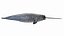 Narwhal Static 3D
