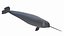 Narwhal Static 3D